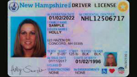 driver-s license